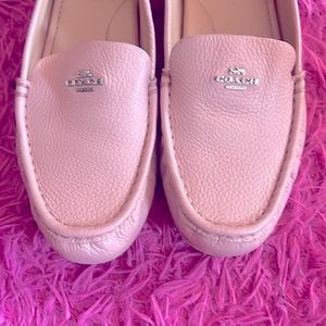 Coach shoes (NO BOX)